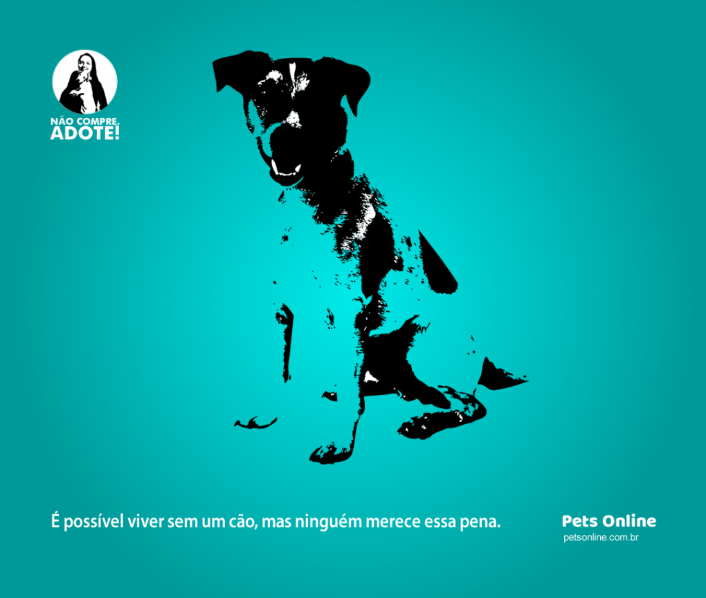 Campanha Adote um Cão para portal Pets Online