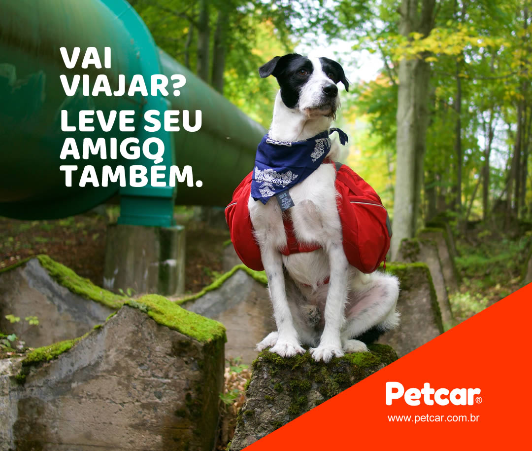 Imagem para Facebook e Instagram para Petcar