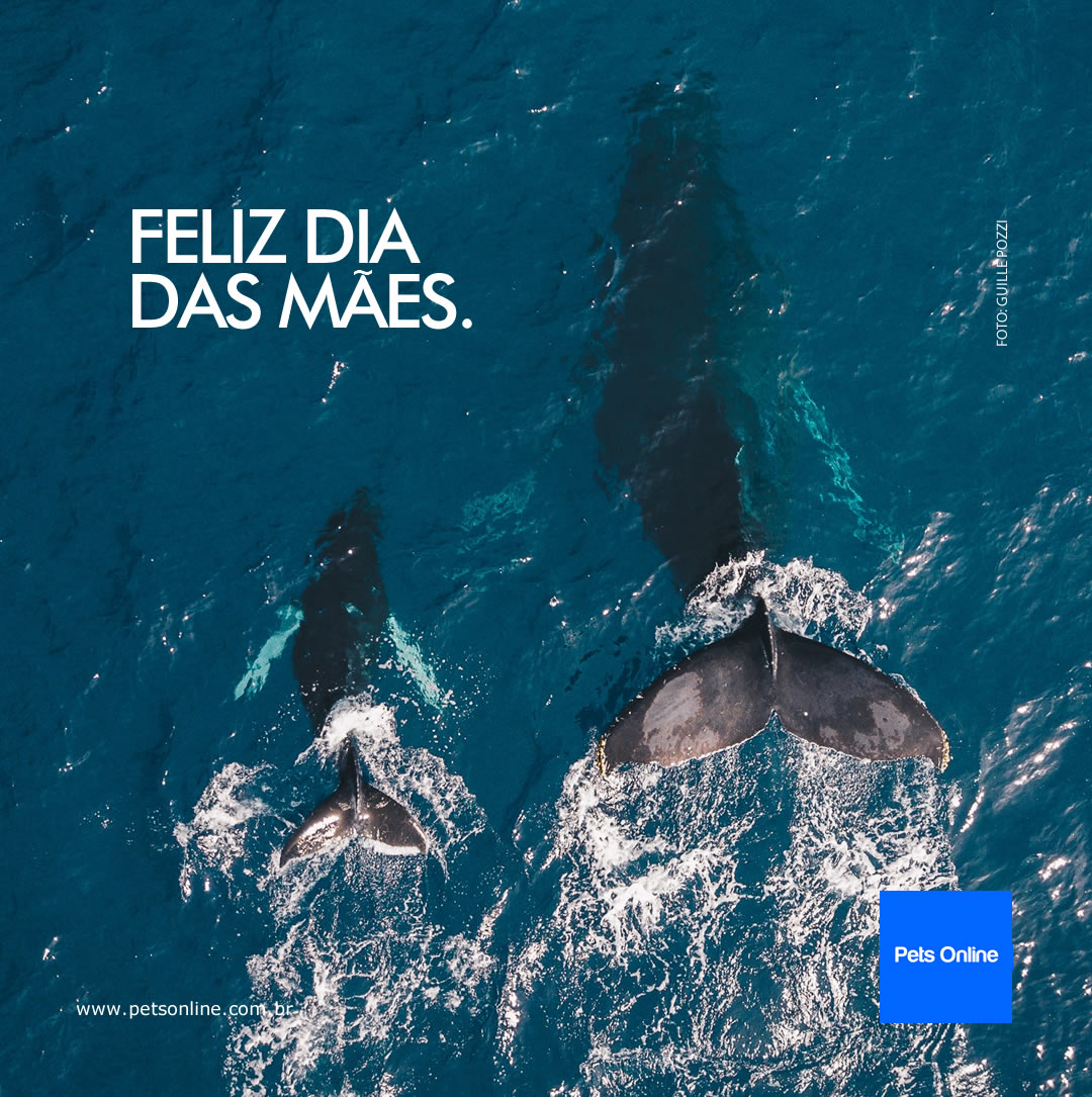 Imagem comemorativa do Dia das Mães para o portal Pets Online para Instagram e Facebook